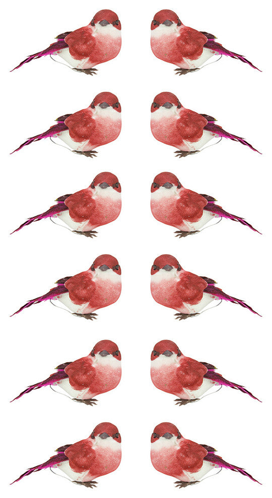 Delightful Bird Christmas Ornaments, Red and Pink, Set of 12, 3.5"