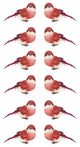 Delightful Bird Christmas Ornaments, Red and Pink, Set of 12, 3.5"