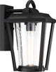 Nuvo 1-Light Lakeview Aged Bronze Small Lantern Wall Mount Light