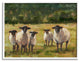 Flock of Sheep Family Painting, 14 x 11