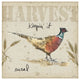 "Farmers Feast VI" Digital Paper Print by Anne Tavoletti, 32"x32"