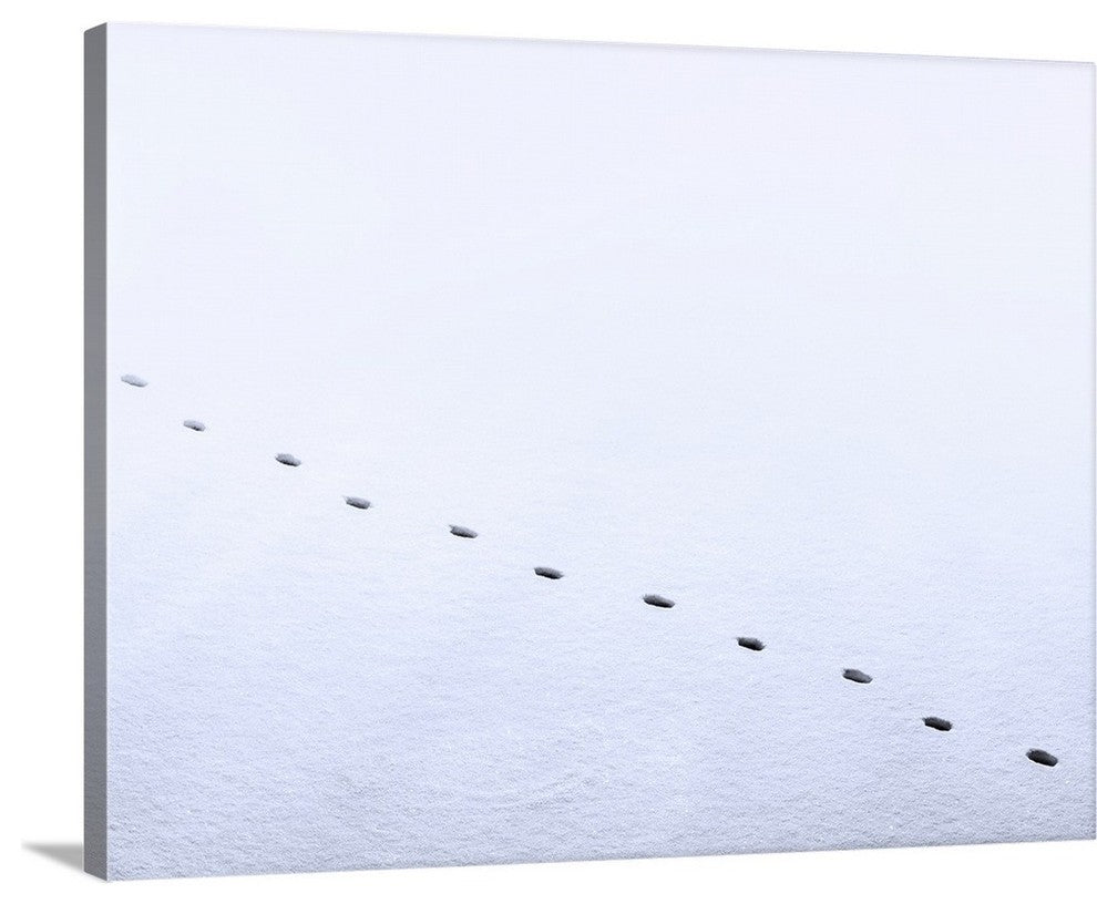 "Zen Footsteps" Wrapped Canvas Art Print, 24"x18"x1.5"