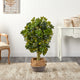 4' Schefflera Faux Tree, Boho Chic Handmade Cotton & Jute Gray Woven Planter
