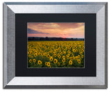 Blanchette Photography 'Sunflower Taps', Silver Frame, Black Matte, 14"x11"