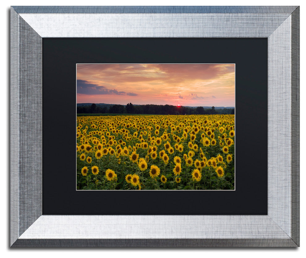 Blanchette Photography 'Sunflower Taps', Silver Frame, Black Matte, 14"x11"