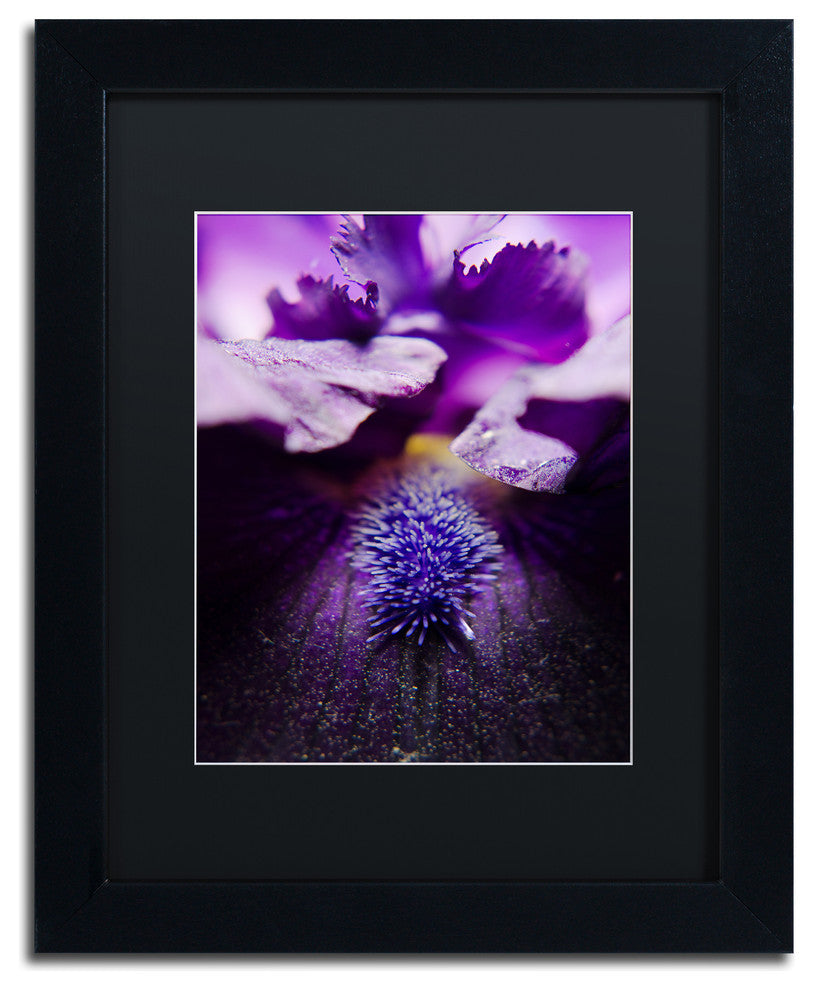 PIPA Fine Art 'Stigma of Iris' Matted Framed Art, 14x11