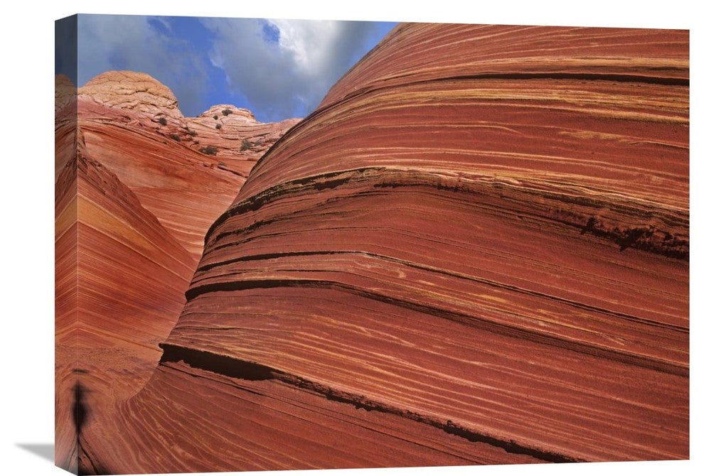 "Detail-The Wave In Paria Canyon-Vermilion Cliffs Wilderness, Arizona" Artwork