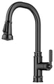 Sellette Pull-Down Kitchen Faucet, Spot Free Black Stainless, Model Kpf-4101sfsb