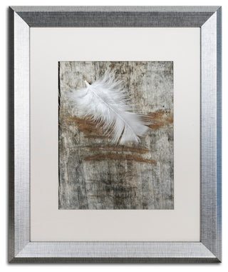 Cora Niele 'White Feather on Wood' Matted Framed Art