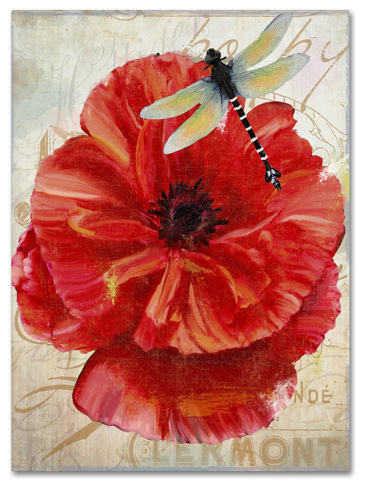 Color Bakery 'Le Pavot Dragonfly' Canvas Art, 24x32