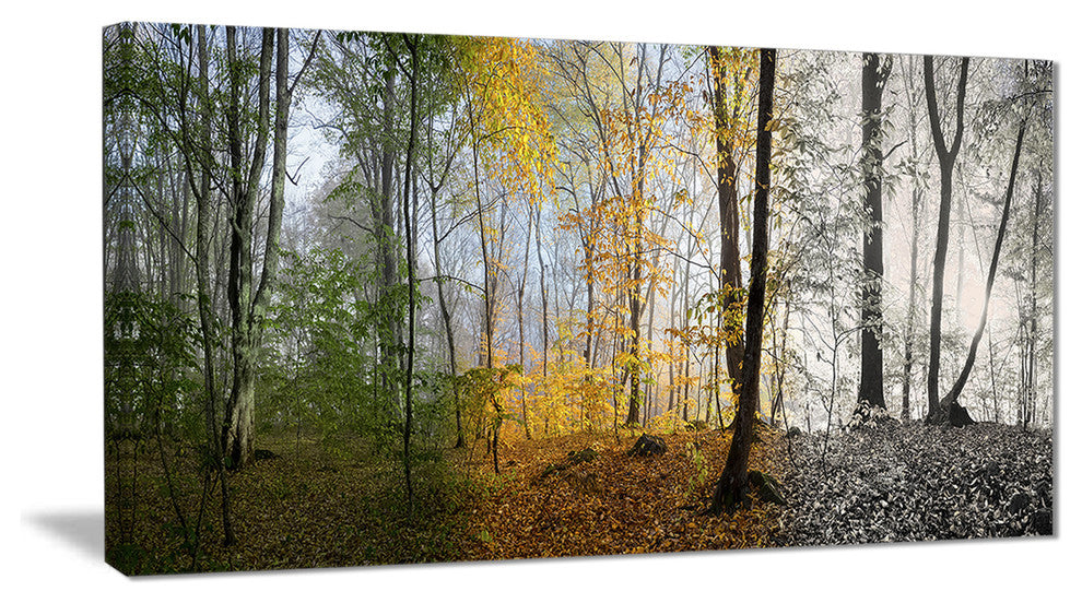 "Forest in Early Morning" Canvas Print
