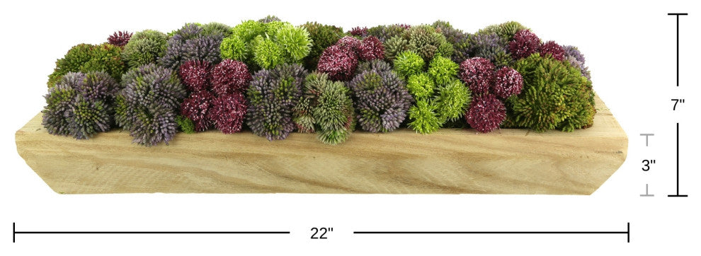 Sedum, Pompom and Moss Arrangement in a  Wood Planter