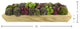 Sedum, Pompom and Moss Arrangement in a  Wood Planter
