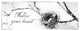 "Nest and Branch III Follow Your Heart" Print by Debra Van Swearingen, 46"x18"
