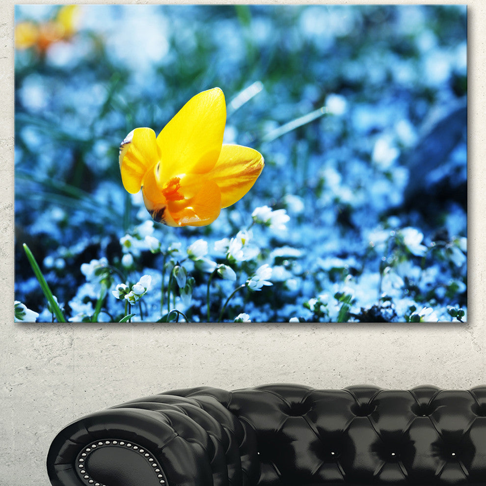 Solitary Yellow Flower on Blue, Floral Canvas Art Print, 40"x30"