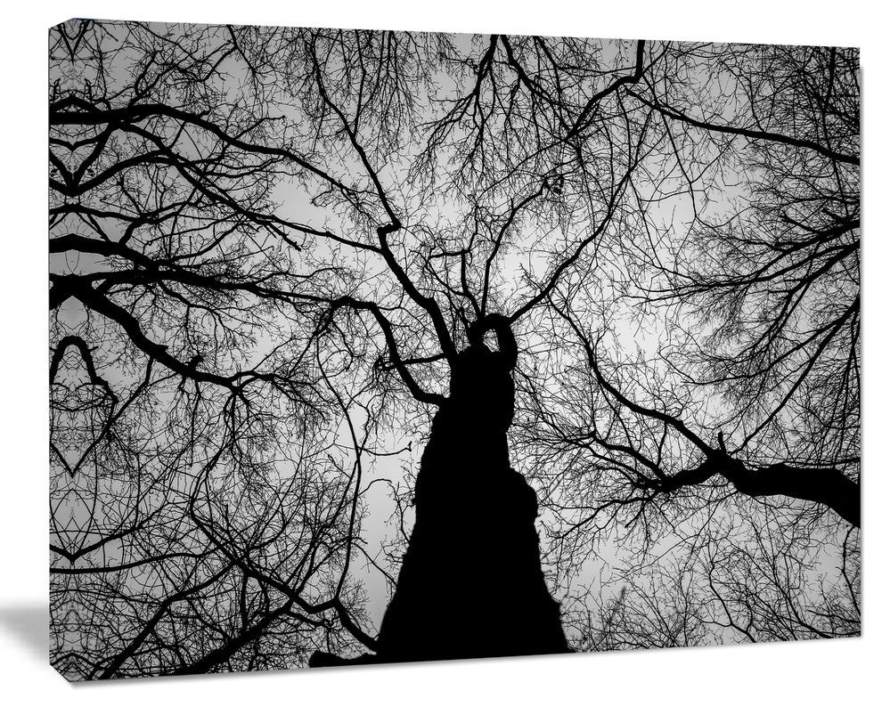 Hoto of Winter Branches, Landscape Canvas Art Print, 40"x30"
