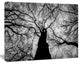 Hoto of Winter Branches, Landscape Canvas Art Print, 40"x30"