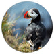 Cute Puffin Relaxing, Animal Round Metal Wall Art, 11"