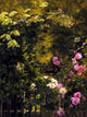 Tile Mural, the Rose Garden By Carl Frederik Aagaard Ceramic, Glossy