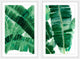 La Habana III Diptych, 48x36