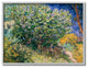 Bush On The Water Green Blue Van Gogh Classical Painting, 11"x14"