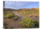 "Wildflowers, Temple Of The Moon, Capitol Reef National Park, Utah" Artwork