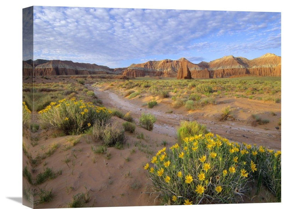 "Wildflowers, Temple Of The Moon, Capitol Reef National Park, Utah" Artwork