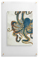 Spacefrogdesigns Underwater Dream Vi Floating Acrylic Print