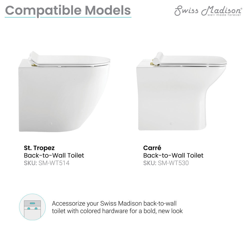 Toilet Hardware Brushed Gold for Wall Hung Toilets