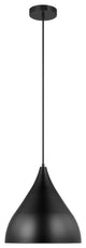 Oden 1-Light Pendant, Midnight Black