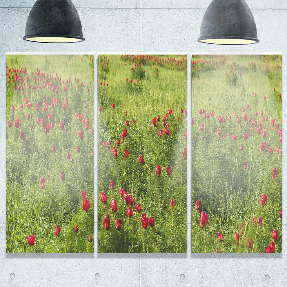 "Wild Peonies Flower in Steppe" Metal Wall Art, 3 Panels, 36"x28"