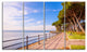 "Promenade and Pine Trees in Italy" Landscape Wall Art Print, 4 Panels, 48"x28"