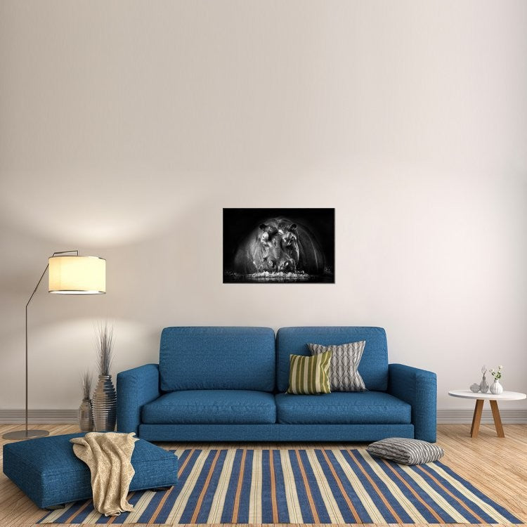 "Power" Framed Canvas Giclee by Gorazd Golob, 37x25"