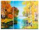 "Birch Forest near the River" Glossy Metal Wall Art, 3 Panels, 36"x28"