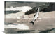 "Flying Fish on Lake John" Artwork, 36"x23"