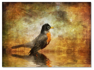 'The Robin' Canvas Art by Lois Bryan