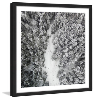 "Path Among Giants" Framed Print by Karolis Janulis