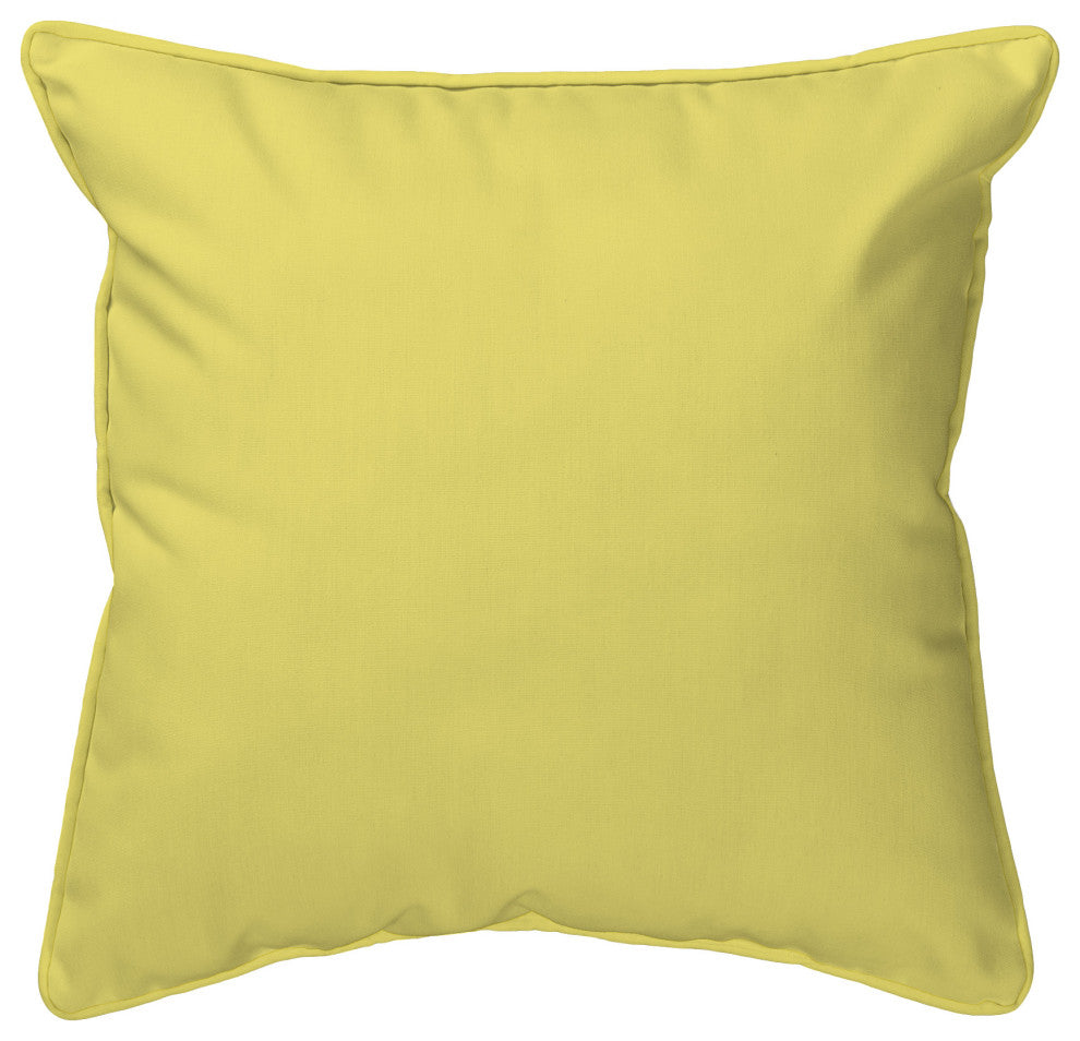 Betsy's DragonFly Large Indoor/Outdoor Pillow 18x18