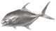 Permit Fish, Silver Leaf
