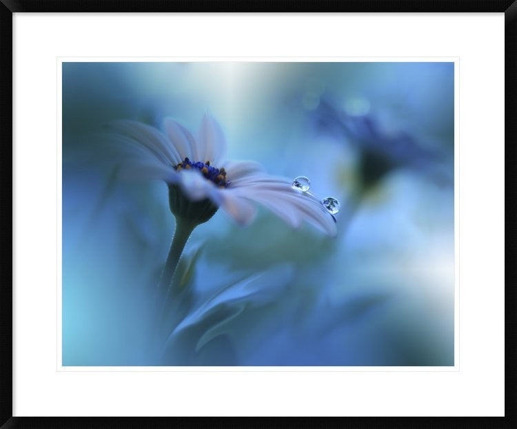 "Beyond The Visible" Framed Digital Print by Juliana Nan, 32x26"