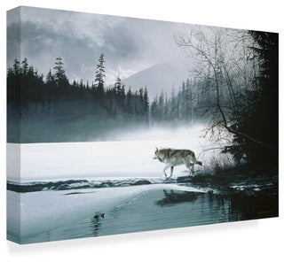 Ron Parker 'Spring Mist Gray Wolf' Canvas Art, 32"x22"