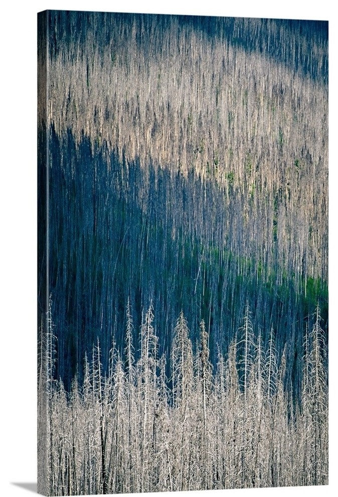 "Light and Shadow" Wrapped Canvas Art Print, 24"x36"x1.5"