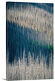 "Light and Shadow" Wrapped Canvas Art Print, 24"x36"x1.5"