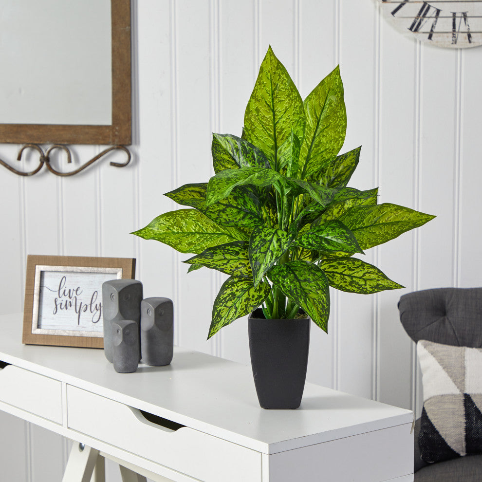 21" Dieffenbachia Artificial Plant, Black Planter