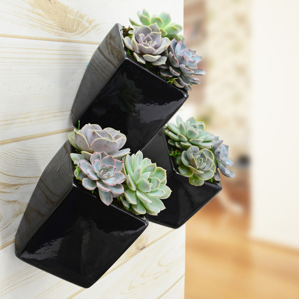 Small Cube Wall Planter, Black