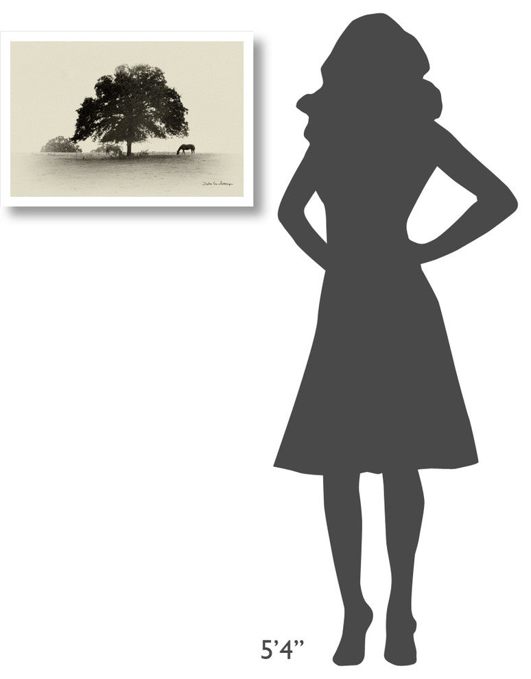 "Horses and Trees I" Digital Paper Print by Debra Van Swearingen, 26"x18"
