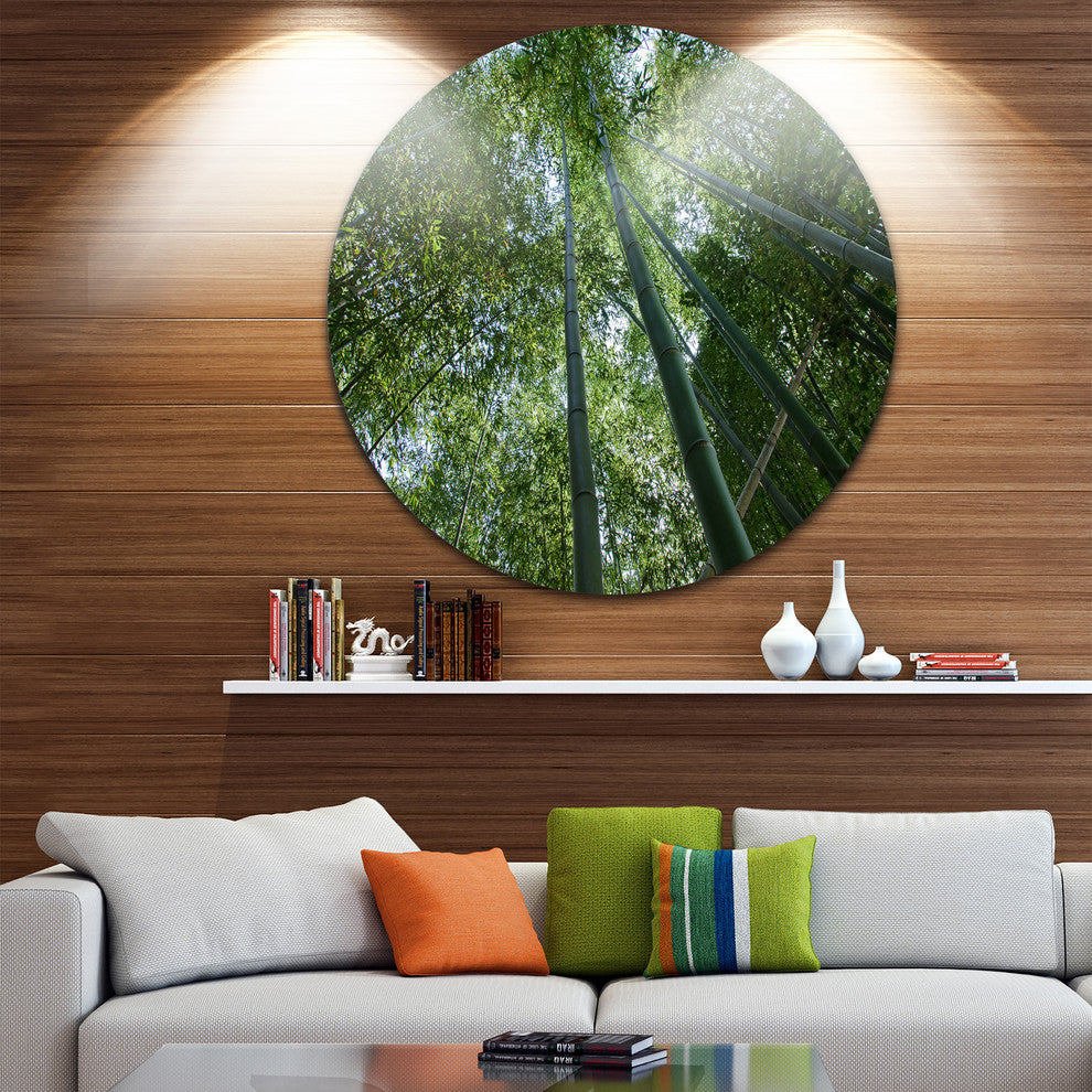 Bamboo Forest Seen From Ground, Forest Round Wall Art, 38"