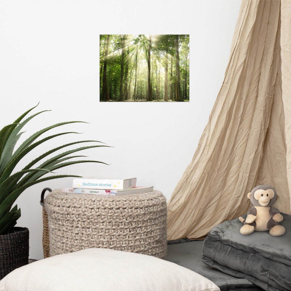 Sun Rays Through Treetops Landscape Photo Unframed Wall Art Print, 12" X 16"