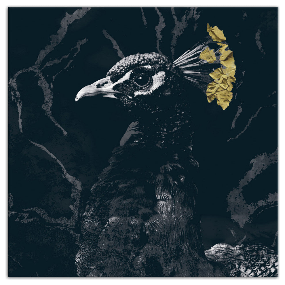 Fancy Peacock Deep Teal 12x12 Canvas Wall Art