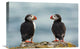 "I Love You - I Love You Too" Stretched Canvas Giclee by Milan Zygmunt, 22x15"